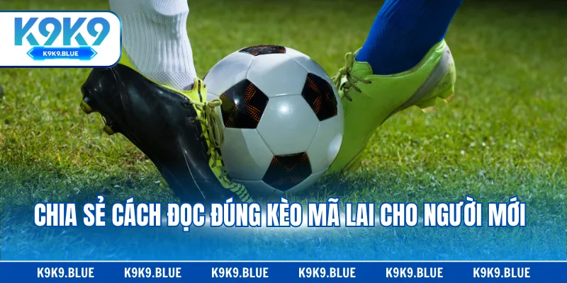 Chia sẻ cách đọc đúng kèo Mã Lai cho người mới