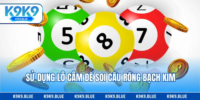 Sử dụng lô câm để soi cầu Rồng Bạch Kim