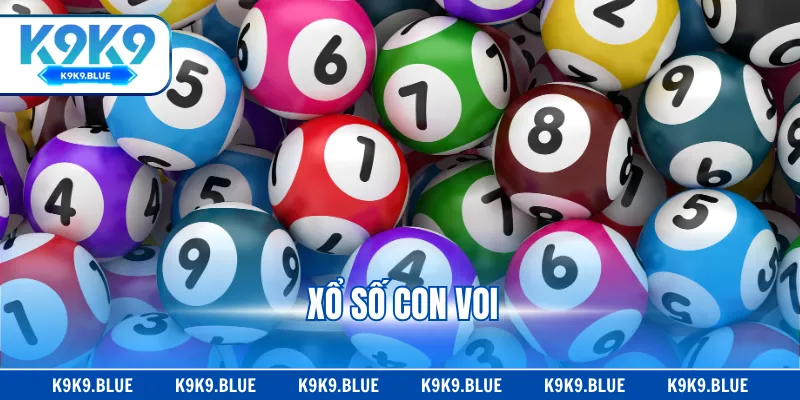 Xổ Số Con Voi Là Gì? Giải Mã Thuật Ngữ Dân Gian Lô Đề